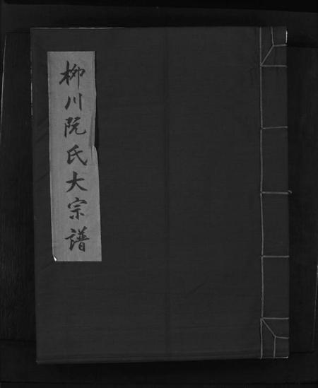 浙江阮氏族谱-柳川阮氏大宗谱 [不分卷].pdf电子版插图1