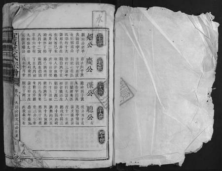江西洪氏族谱-宜黄洪氏宗谱.pdf电子版插图1