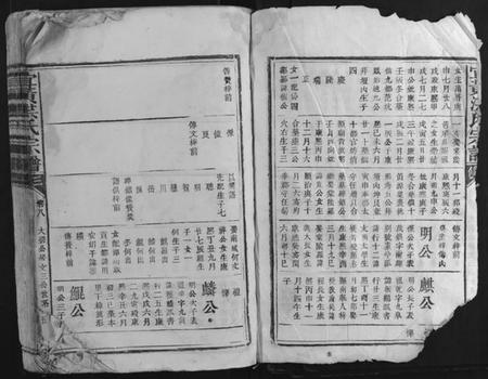 江西洪氏族谱-宜黄洪氏宗谱.pdf电子版插图2
