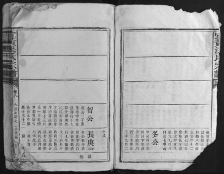 江西洪氏族谱-宜黄洪氏宗谱.pdf电子版插图3