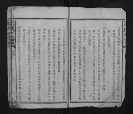 江西洪氏族谱-洪氏宗谱.pdf电子版插图2