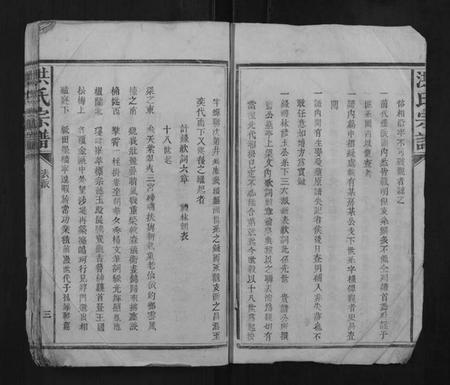 江西洪氏族谱-洪氏宗谱.pdf电子版插图3