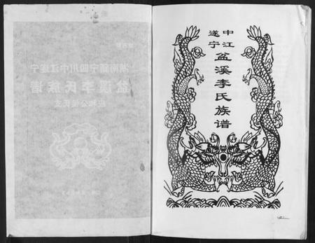 湖南李氏族谱-盆溪李氏族谱.pdf电子版插图1