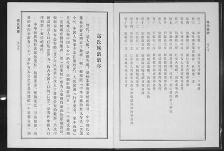 湖北高氏族谱-高家山高氏族谱.pdf电子版插图3