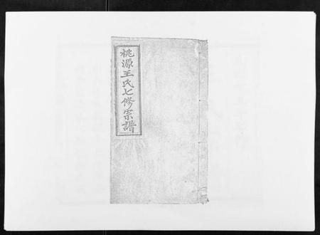 浙江王氏族谱-桃源王氏宗谱[60卷首末各1卷].pdf电子版插图