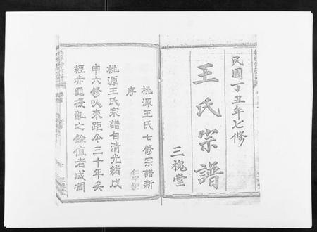 浙江王氏族谱-桃源王氏宗谱[60卷首末各1卷].pdf电子版插图1