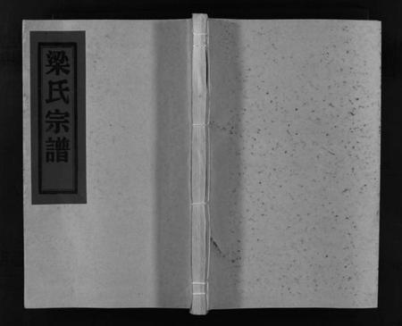 浙江梁氏族谱-梁氏宗谱 [不分卷].pdf电子版插图1