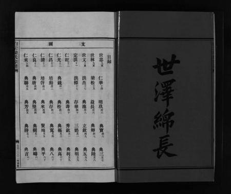 浙江梁氏族谱-梁氏宗谱 [不分卷].pdf电子版插图3