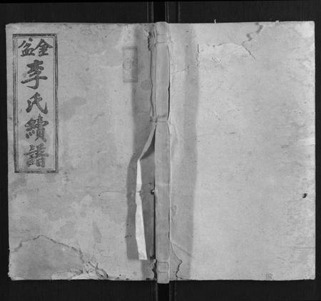 湖南李氏族谱-金盆李氏续修族谱.pdf电子版插图