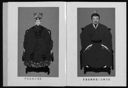 浙江陈氏族谱-棠溪陈氏宗谱前金村谱 [不分卷].pdf电子版插图3