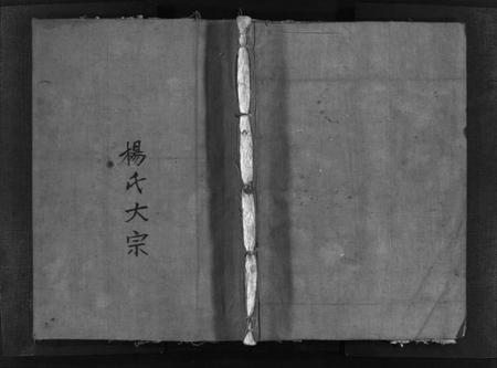 浙江杨氏族谱-杨氏大宗 [不分卷].pdf电子版插图1