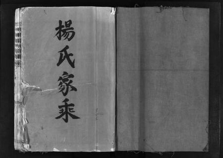 浙江杨氏族谱-杨氏大宗 [不分卷].pdf电子版插图2