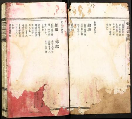 浙江杨氏族谱-杨氏宗谱.pdf电子版插图1