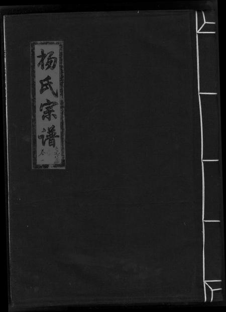 浙江杨氏族谱-杨氏宗谱 [13卷].pdf电子版插图