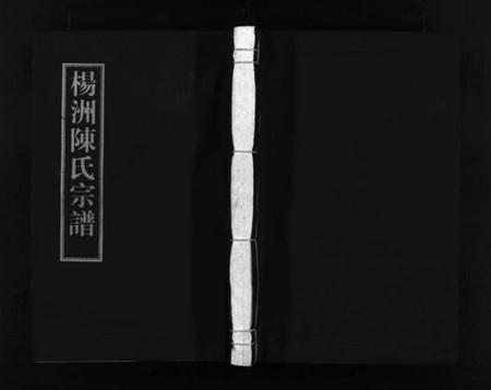 浙江陈氏族谱-杨洲陈氏宗谱 [3卷,首1卷].pdf电子版插图1