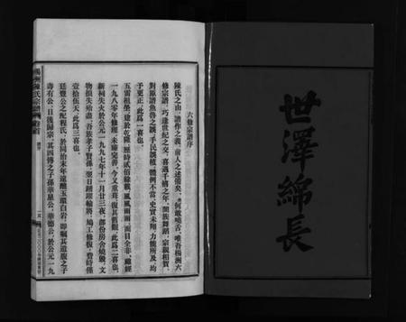 浙江陈氏族谱-杨洲陈氏宗谱 [3卷,首1卷].pdf电子版插图2