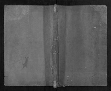 湖南梁氏族谱-梁氏支谱[2册].pdf电子版