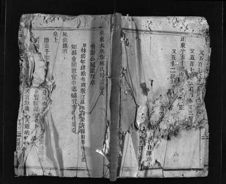 浙江林氏族谱-乐东大芙蓉林氏房谱 [残卷].pdf电子版插图1