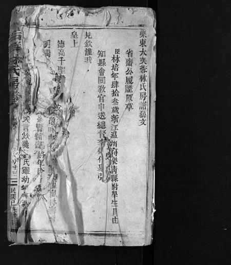浙江林氏族谱-乐东大芙蓉林氏房谱 [残卷].pdf电子版插图2