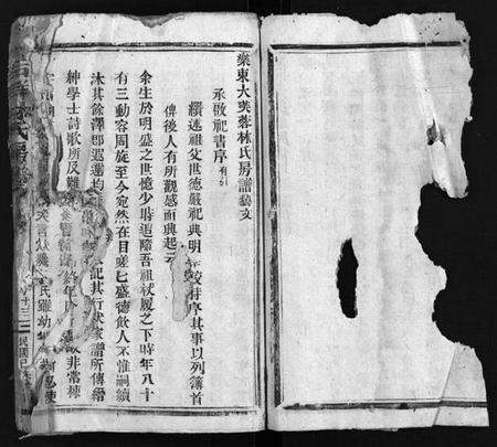 浙江林氏族谱-乐东大芙蓉林氏房谱 [残卷].pdf电子版插图4