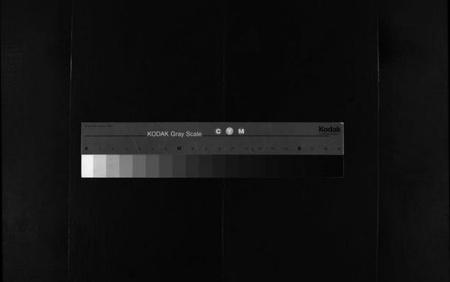 浙江仇氏族谱-乐清仇氏大宗谱 [10卷,附1卷].pdf电子版