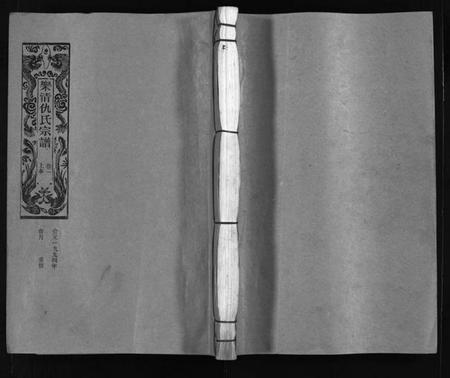 浙江仇氏族谱-乐清仇氏大宗谱 [10卷,附1卷].pdf电子版插图1