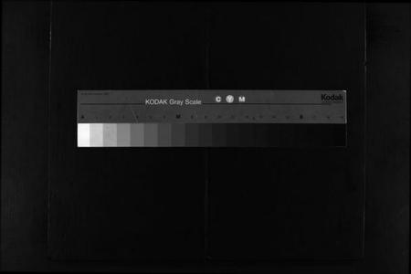 浙江仇氏族谱-乐清仇氏大宗谱 [7卷].pdf电子版