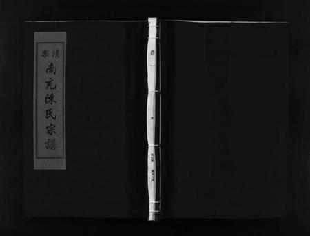 浙江陈氏族谱-乐清南充陈氏宗谱 [5卷,又1卷].pdf电子版插图1