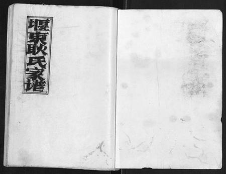 江苏耿氏族谱-堰东耿世家谱[不分卷].pdf电子版插图1