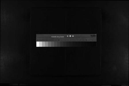 浙江林氏族谱-乐清芙蓉林氏宗谱 [16卷,附1卷].pdf电子版