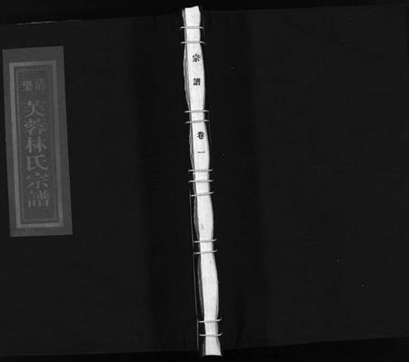 浙江林氏族谱-乐清芙蓉林氏宗谱 [16卷,附1卷].pdf电子版插图1