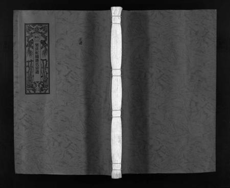 浙江潘氏族谱-乐清虹桥潘氏宗谱 [不分卷].pdf电子版插图1