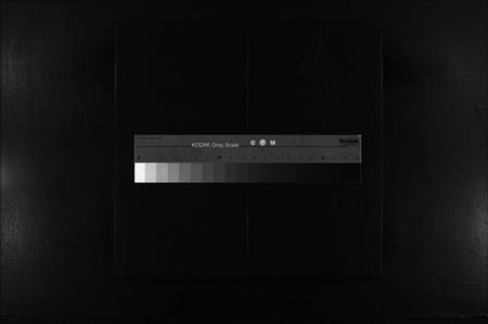 浙江陆氏族谱-乐清虹桥陆氏宗谱 [不分卷].pdf电子版