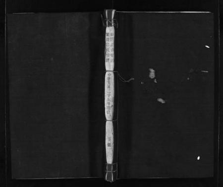 浙江郑氏族谱-乐清象山桥头前岸郑氏宗谱 [下册].pdf电子版插图1