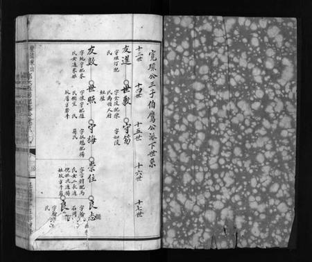 浙江郑氏族谱-乐清象山桥头前岸郑氏宗谱 [下册].pdf电子版插图2