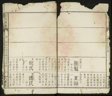 湖南廖氏族谱-廖氏族谱 [残卷].pdf电子版插图4