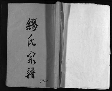 浙江缪氏族谱-乐邑长垟缪氏宗谱 [不分卷].pdf电子版插图1