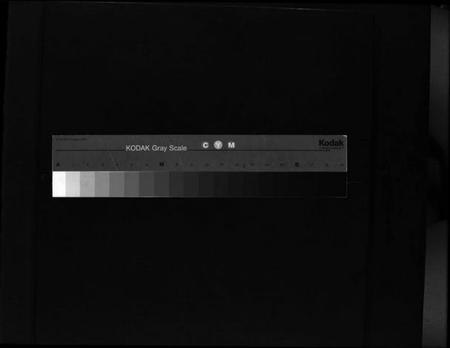 浙江施氏族谱-樟村施氏四房谱 [不分卷].pdf电子版