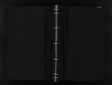 浙江吴氏族谱-桥头吴氏宗谱 [不分卷].pdf电子版插图1