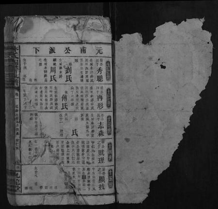 湖南林氏族谱-林氏四修族谱.pdf电子版插图1