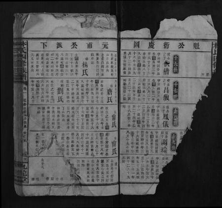 湖南林氏族谱-林氏四修族谱.pdf电子版插图2