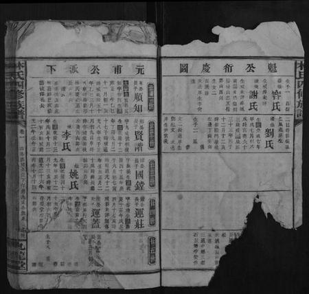 湖南林氏族谱-林氏四修族谱.pdf电子版插图3