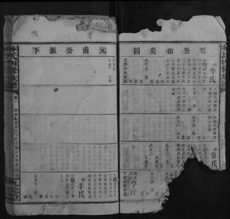 湖南林氏族谱-林氏四修族谱.pdf电子版插图4