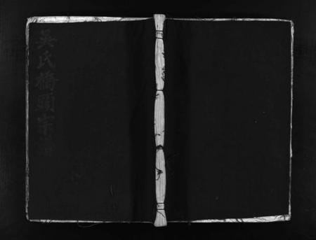 浙江吴氏族谱-桥头吴氏宗谱 [不分卷].pdf电子版插图1