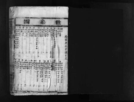 浙江吴氏族谱-桥头吴氏宗谱 [不分卷].pdf电子版插图2