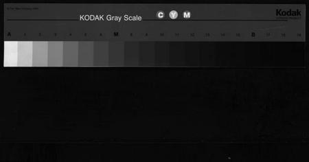 浙江王氏族谱-橙川王氏宗谱 [7卷,末1卷].pdf电子版