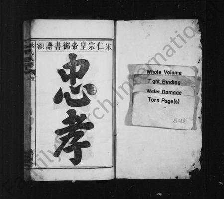 湖南林氏族谱-林氏族谱 [残卷].pdf电子版插图2