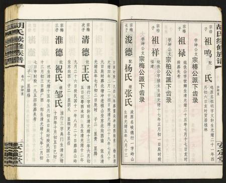 江西胡氏族谱-胡氏续修族谱.pdf电子版插图3