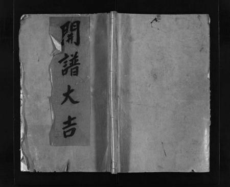 浙江严氏族谱-横山严氏宗谱 [10卷].pdf电子版插图1