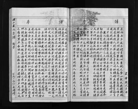 浙江严氏族谱-横山严氏宗谱 [不分卷].pdf电子版插图4